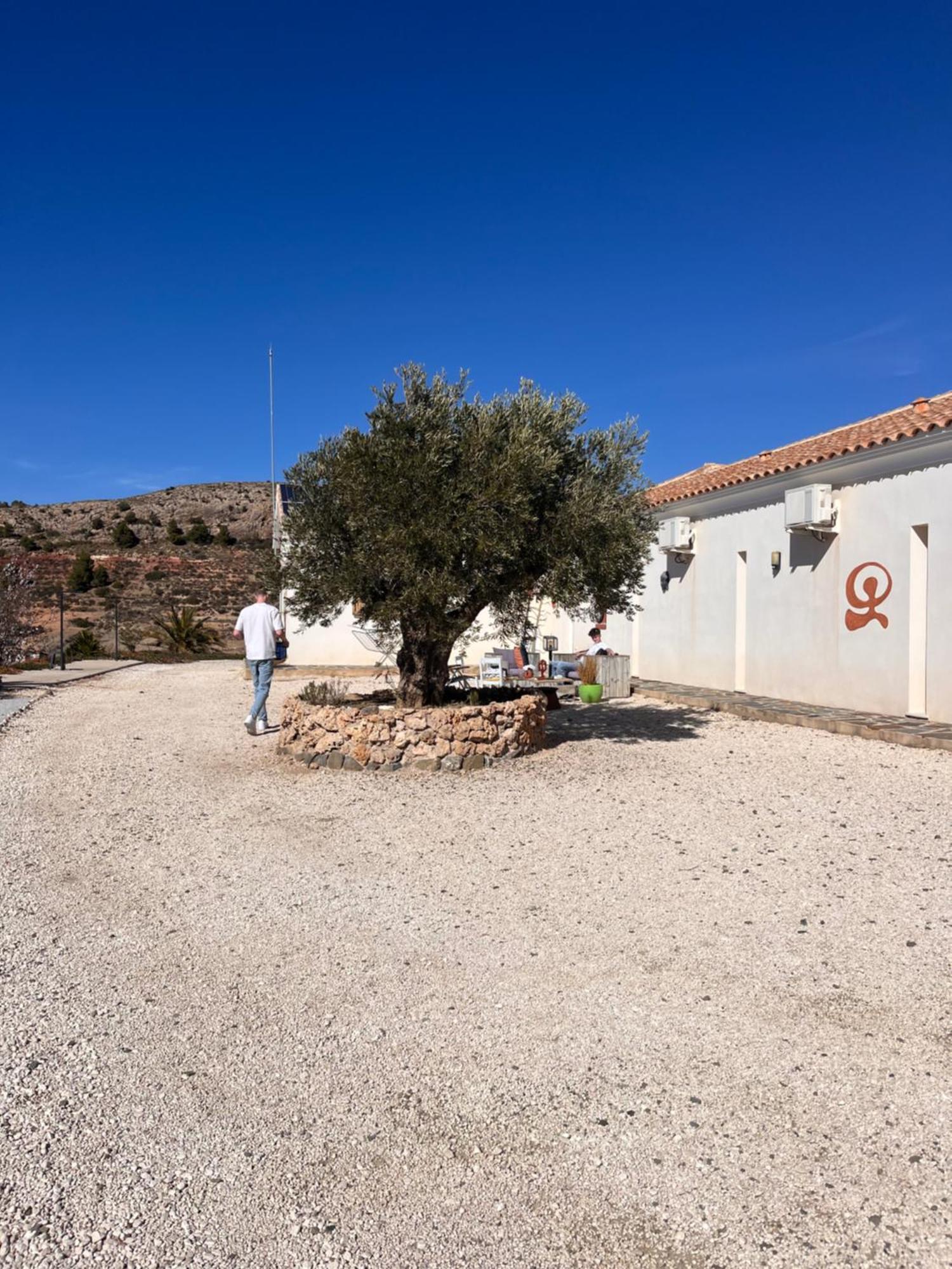 Casa Lamberdina Couette-café Fuensanta (Murcia)